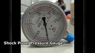 100mm 4" ALL SS 0-2,5MPa