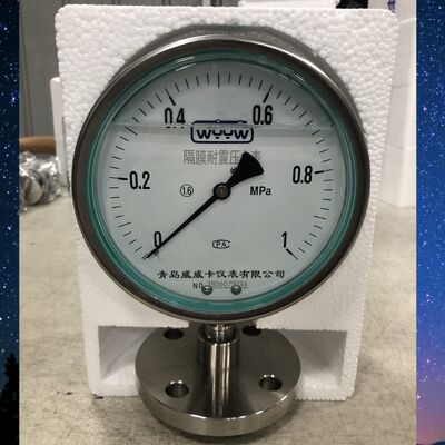 Customized Support OBM Diaphragm Pressure Gauge Bottom Connection 1/2 Inch NPT Heavy Duty Pressure Detection Instrument