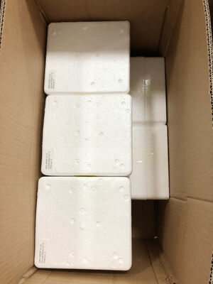 6" 0-1.6MPa Manómetro Remoto – Precisión del 1.6% | Lecturas en Tiempo Real