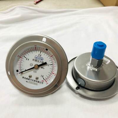 63mm 2.5 Inch Panel Mount Liquid Filled Shock Resistant Pressure Gauge | Back Flange Stainless Steel Gauge